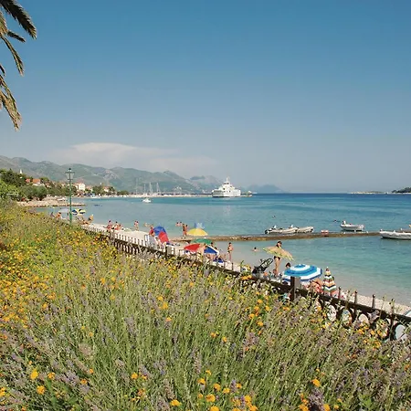 1 Bedroom Gorgeous In *